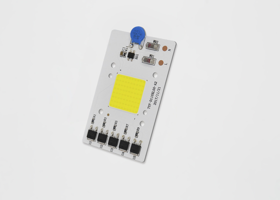 AC 220 V-chip Driver Driver 380nm-840nm đầy đủ 50W Đối với COB Grow Light